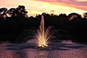 Top Five Pond Maintenance Tips for Successful Summer