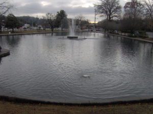 large pond fountain
